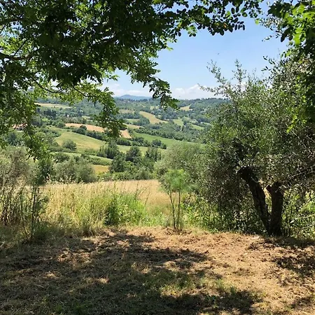 Casale Legnaia Relax - Florence Apartment